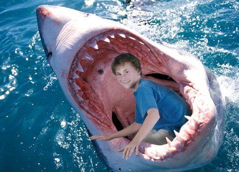 白鲨爆料宝宝视频大全,宝宝成长瞬间,温馨视频大盘点 第1张 白鲨爆料宝宝视频大全,宝宝成长瞬间,温馨视频大盘点 第1张