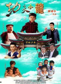 电影功夫小龙在线观看,热血青春，武术传奇  第1张